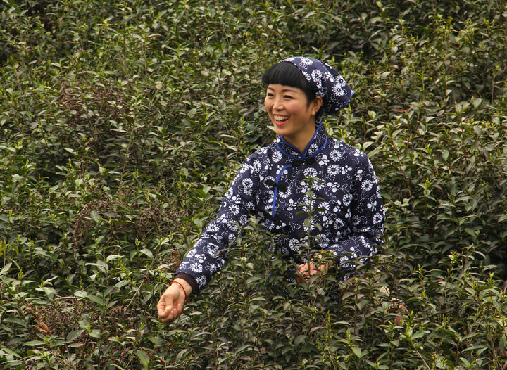 183间房主播跳舞 影视2